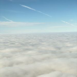 Meet your Posher, Frances